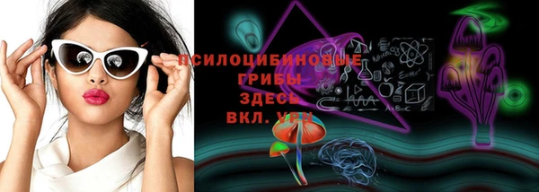 PSILOCYBIN Горно-Алтайск