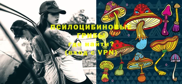 PSILOCYBIN Горно-Алтайск