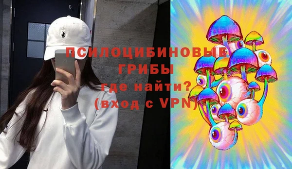 молекула духа Новочеркасск