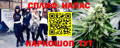 индика Бийск