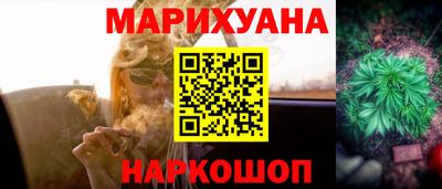 индика Бийск