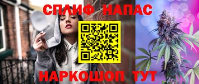 индика Бийск