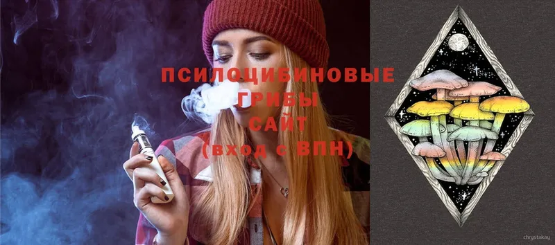 Галлюциногенные грибы Cubensis  продажа наркотиков  Волгоград 