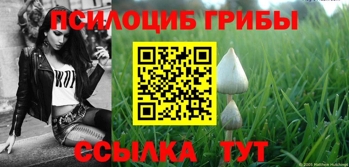 Галлюциногенные грибы мухоморы Волгоград