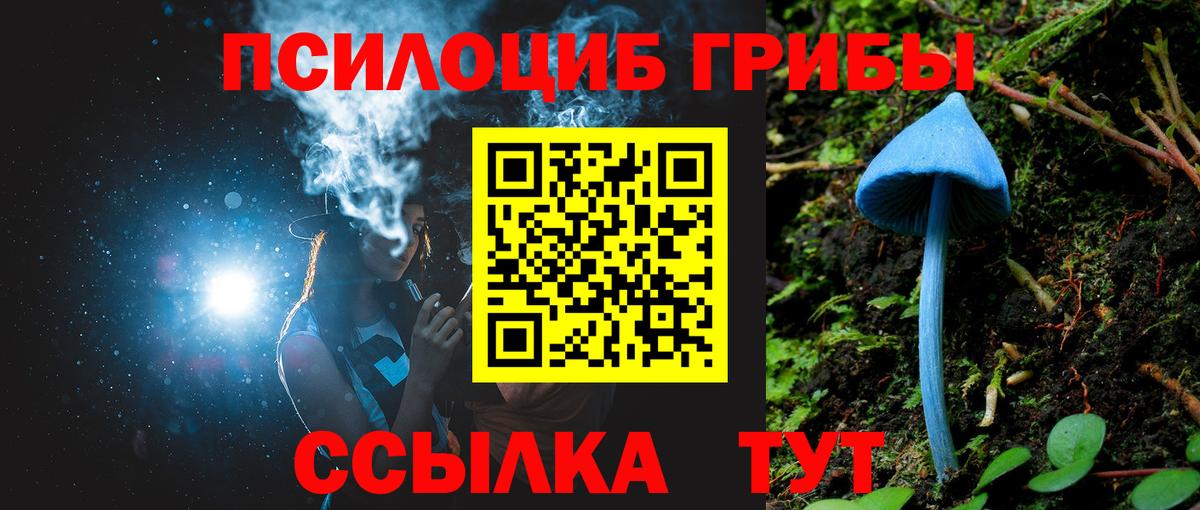 Псилоцибиновые грибы Cubensis  Волгоград 