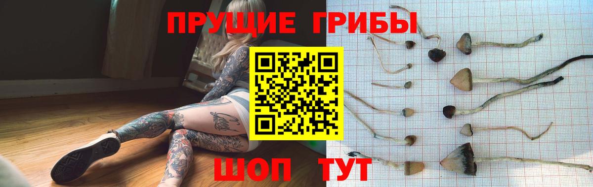 Волгоград  Галлюциногенные грибы GOLDEN TEACHER  Вход с VPN 