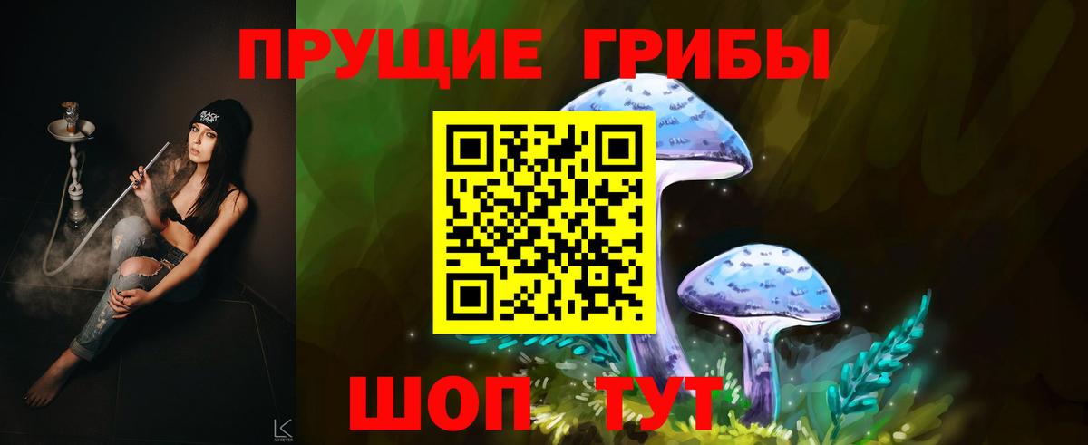 Галлюциногенные грибы Magic Shrooms Волгоград